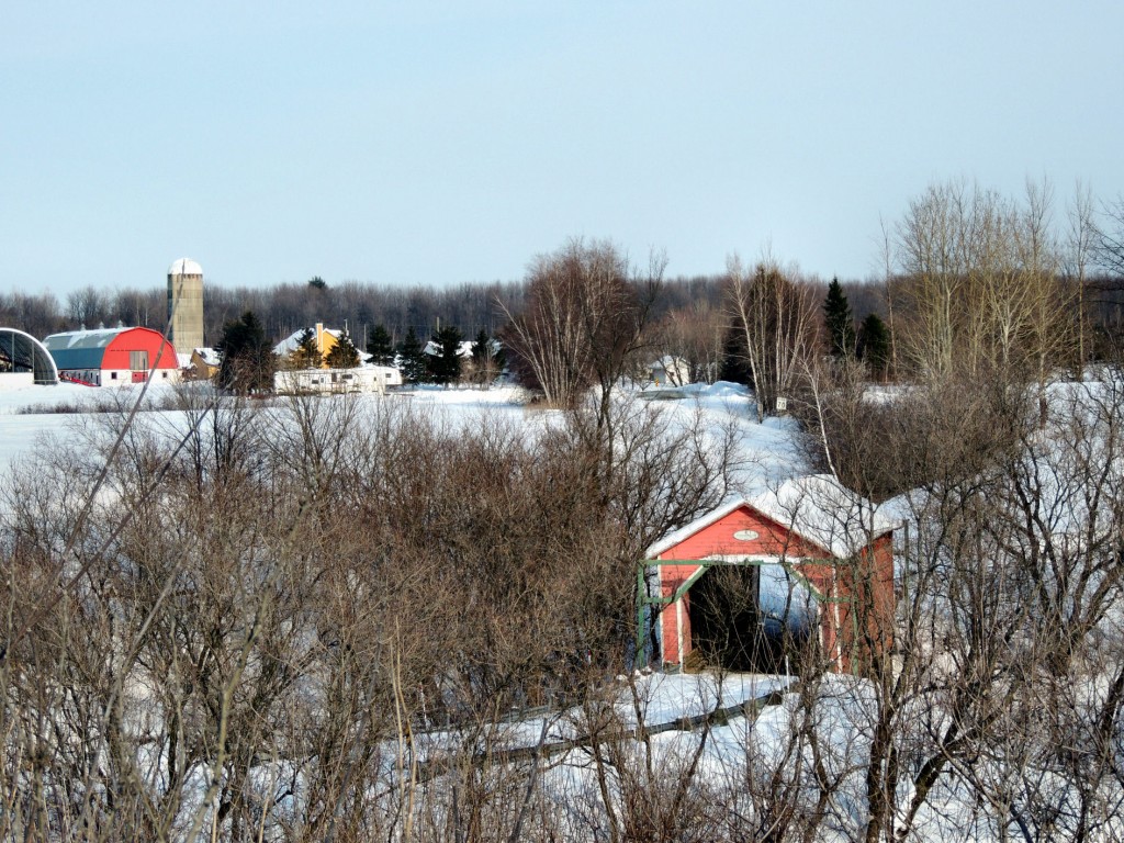 # 61-51-03 saint-célestin 2015 Gérald Arbour N2