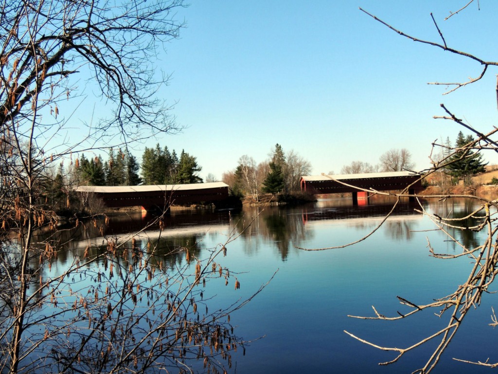 # 61-33-02 & 03 ferme-rouge 2015 Gérald Arbour N6